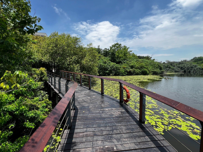 高雄鳥松濕地步道老舊 市府兼顧生態花4千萬設木棧道