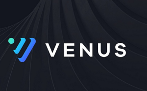 Venus 2023年第二季度報告：收入增長背後的原因與展望