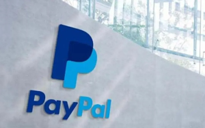 穩定幣江湖再起風潮：揭祕支付巨頭Paypal新成員PYUSD