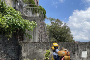 北市再增一例登革熱本土個案 北投男曾有台南活動史