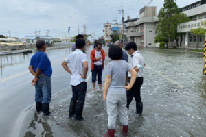 滿潮海水倒灌 北門雙春急水溪畔防風林恐不保