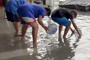 影／大潮水灌進彰化線西塭仔港 民眾雙腳泡水撈魚好開心