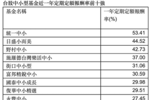 台股震盪靠這招提高勝率 中小型基金定期定額一年平均賺近三成