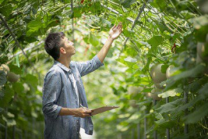 好食好事助彰化青農登上群募平台 支持青創有優惠