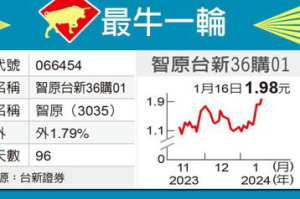 最牛一輪／智原利多 台新36振奮