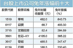 兔年飆股／這檔上市股年漲840%居冠 且奪全市場第二大