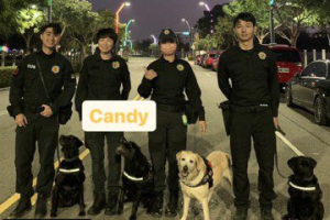 影／台中9警犬協勤燈會出動！每日園區巡邏歡迎合照