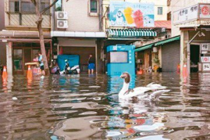 逢滿月大潮…旗津易淹水 市府砸錢改善