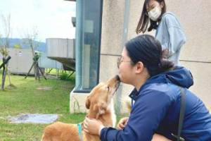 拚犬貓認養機會 花蓮推1日志工