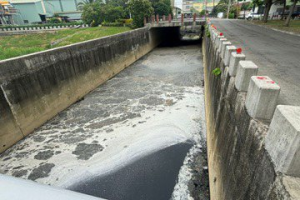 鳳山溪臭氣沖天魚群暴斃 民代批「魚類墳場」市府急查原因