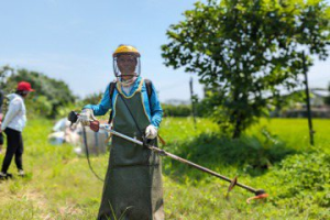 拒絕不當使用除草劑 新竹市示範快樂除草「雞」