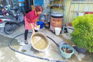 下雨致登革熱病媒蚊指數升高 彰化芬園出現4級紅色警戒