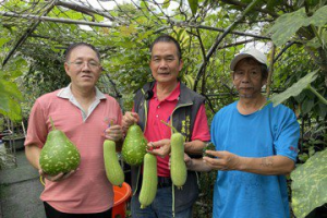 瑞芳吉安裏長謝永昌帶路 社區點點綠美化舒適宜人