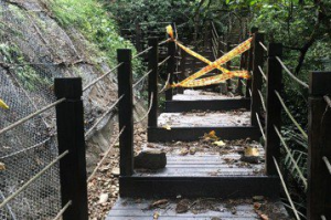 太平蝙蝠洞步道因豪雨受損 中市府修復完工已開放