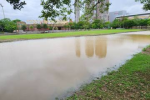 停車場不足、下雨淹成河…天母運動公園 北市府3個月提改善規畫