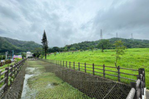 新莊十八份公墓遷葬速度挨批太慢 民政局：今年7月完工