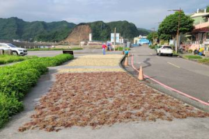 影／基隆山崩清土石11日才通車 端午商機全泡湯 店家公休 路上曬海菜