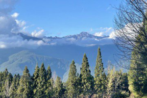 梨山水果產季正當時 參山處邀團客旅遊最高補助1萬元