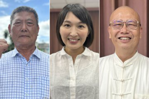 長治鄉長補選 泛綠面臨分裂