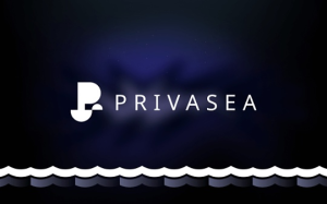 MT Capital 研報：Privasea 將全同態加密引入Mass Adoption