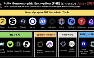 FHE現狀、生態格局及未來挑战