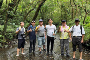 新北市雙溪坪溪古道好消暑 綠樹林蔭溪水透心涼