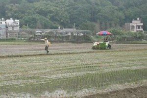 國土計畫爭議 鍾東錦研議苗縣私有農一5千公頃劃為農二