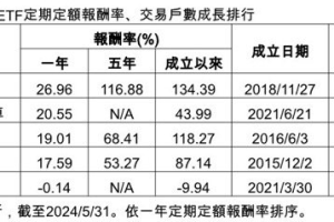 存股族最愛海外股票 ETF 這檔奪定期定額績效、人氣成長雙冠王