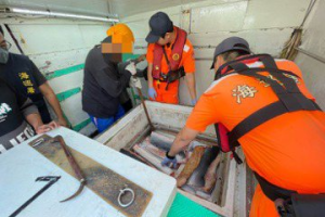 鯊魚悲歌！宜蘭蘇澳籍漁船累犯 「割鰭棄身」藏5000公斤魚鰭