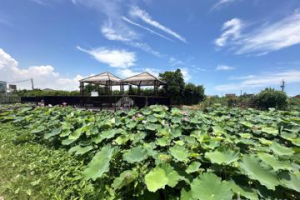 民主先驅李萬居雲林故裏 花園祕境「映月塘」獲建築園冶獎