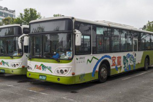 公車駕駛缺工／TPASS後遺症 市區公車司機跳槽