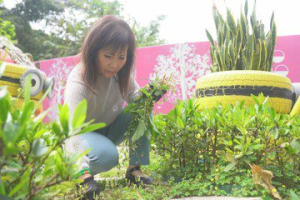 廢棄物再利用 淡水民生裏美化環境打造小公園