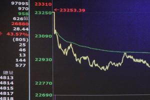 00915高股息ETF它最猛…0052上半年績效王！ 柴鼠：市值、科技型居前段班