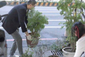 別再用盆栽擋道 基市府推「綠腳丫」創造更多行人空間