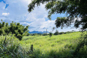 北海岸私人地欲蓋禮廳靈堂 當地居民抗議憂汙染地下水