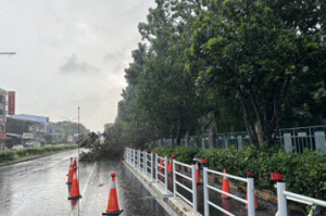 午後暴雨如颱風天嘉義路樹倒 氣象局提醒：防曬防災