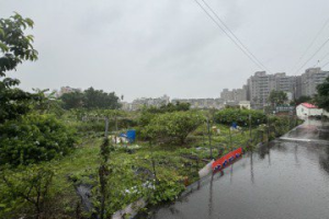 還地於民！苗慄公設解編首波3案公辦市地重劃送部審查