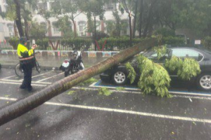 台南市下起大雷雨 路樹倒塌壓車 小東路地下道積水封閉