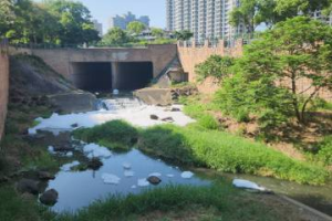 淡水公司田溪驚見大量白泡泡 新北稽查人員沿線追查發現「不明排水道」