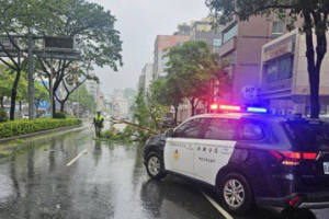 凱米颱風侵襲高雄路樹再砸中機車 騎士摔車頭部受傷送醫