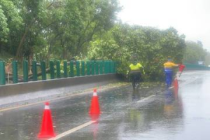 台84路樹倒塌橫阻 善化分局長路過冒雨加入排除路障