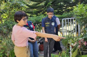 瑤族油茶結合園藝治療 創業與行銷獲移民署補助