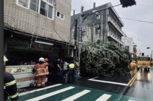 颱風發威！彰化7人受困獲救 樹倒壓垮民房男子幸運無傷