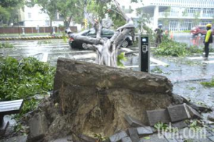 成大男教授開車遭倒下路樹壓在車頂  幸才念完20部地藏王菩薩經書