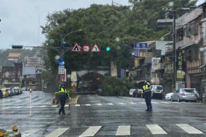 基隆南榮路南榮隧道前大樹傾倒阻斷 往市區要改道