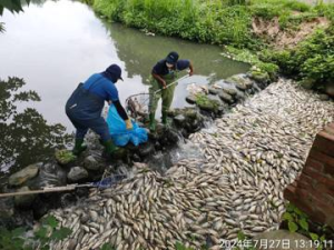 颱風幹了什麼事？竹東生態河濱公園魚群暴斃