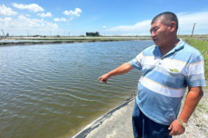 雲林沿海看不見的災害在水底 養殖業者為此原因急跳腳