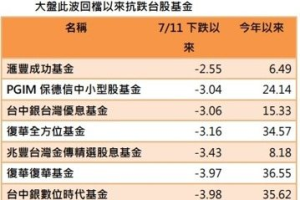 台股7月大洗三溫暖 多元布局台股基金抗震