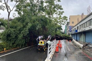 高雄大雨樹倒、斷枝 3騎士傷