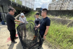 「哨兵魚」上陣！台中查死魚…揪20電鍍業者罰200萬元